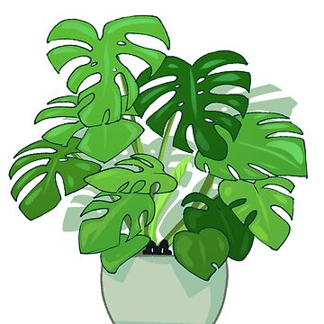 Artwork thumbnail, Monstera by PencilCat