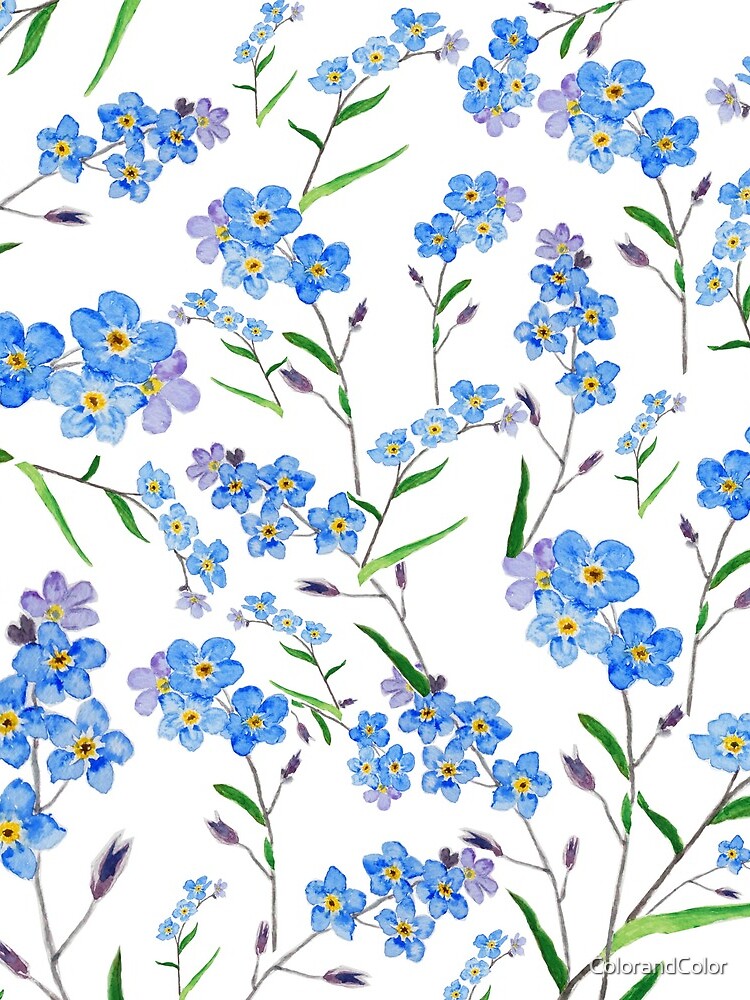 blue forget me not pattern by ColorandColor