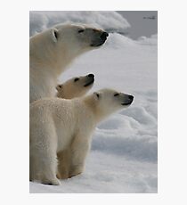 Three’s Company! Photographic Print
