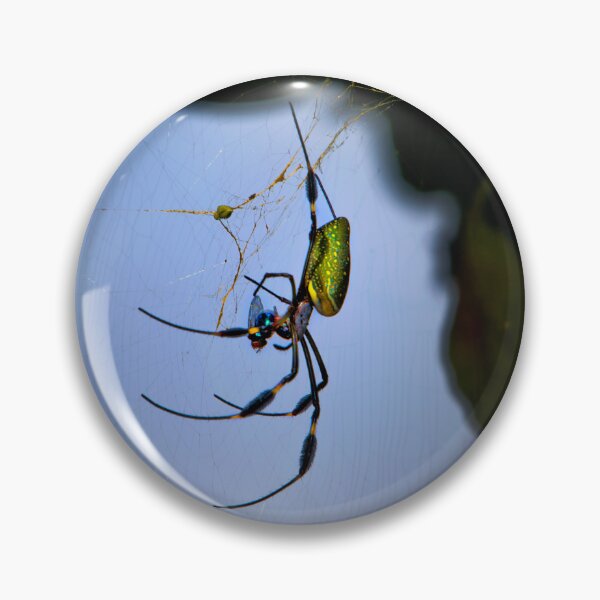 Item preview, The Spider And The Fly II designed and sold by alabca.