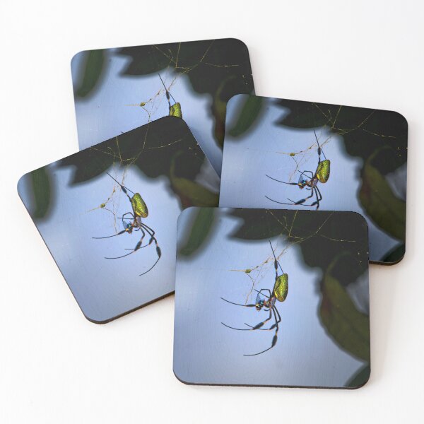 Item preview, The Spider And The Fly II designed and sold by alabca.