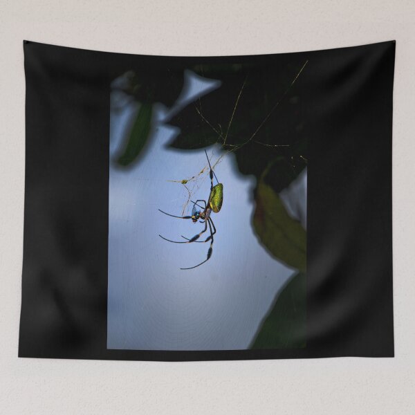 Item preview, The Spider And The Fly II designed and sold by alabca.