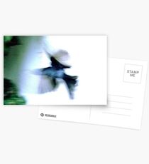 Flit Postcards