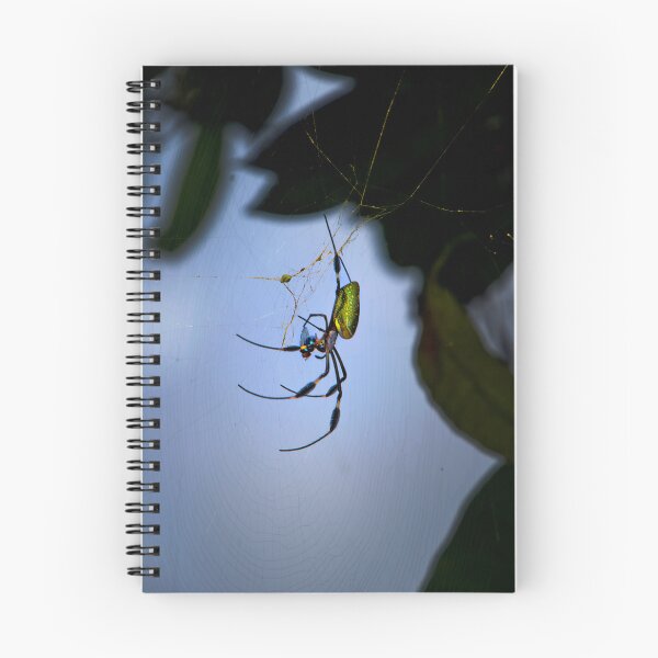Item preview, The Spider And The Fly II designed and sold by alabca.