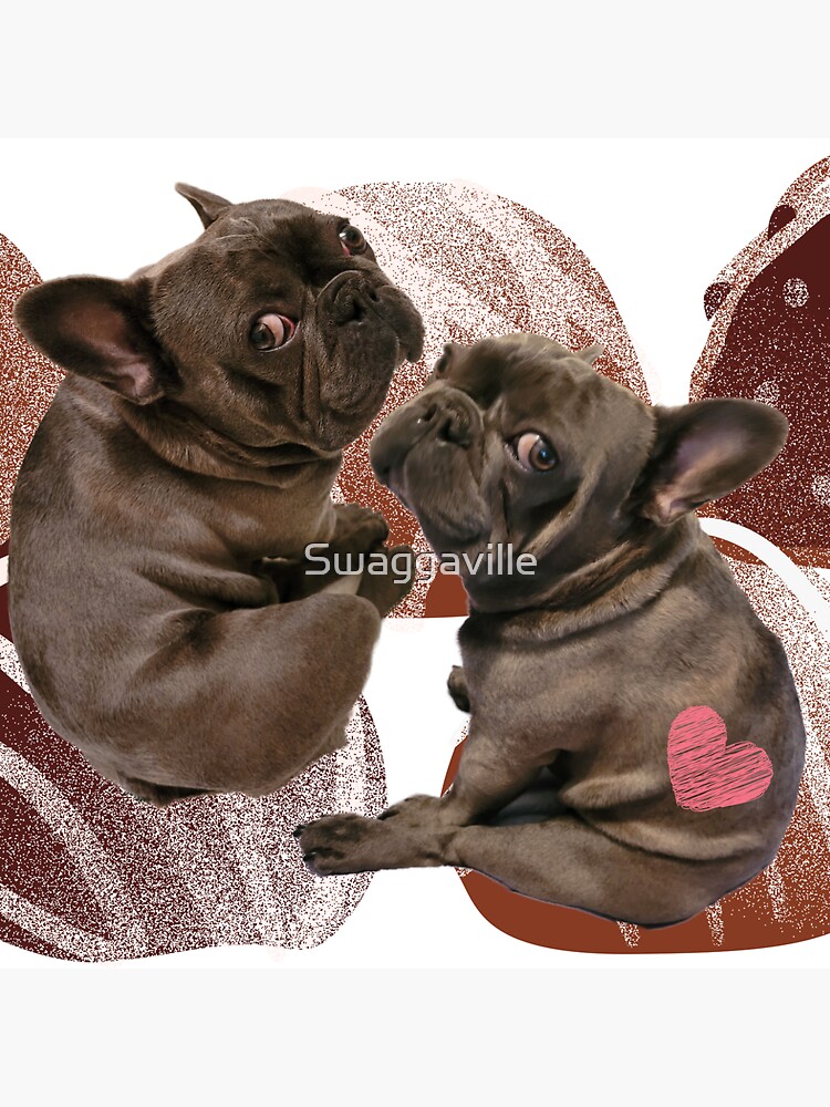 Puppy Love Sweet Frenchies with Chocolate Background