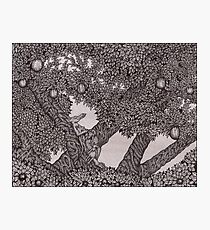 Dragon Siesta Photographic Print