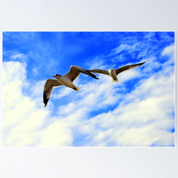Item preview, Soaring From The Heavens designed and sold by madman4.