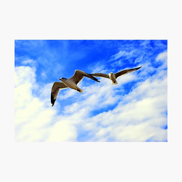 Artikelvorschau, Soaring From The Heavens entworfen und verkauft von madman4.
