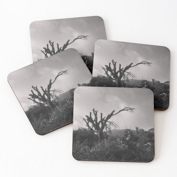 Item preview, with the first light designed and sold by Abel-momo.