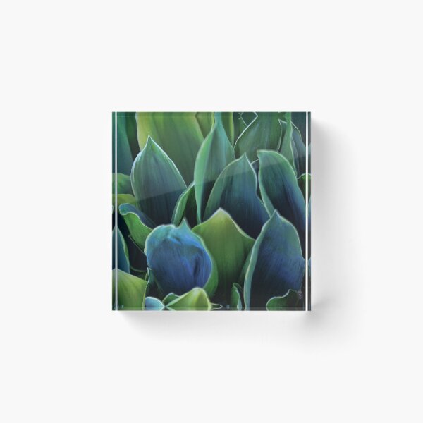 Item preview, Leaves - Lily of the Valley designed and sold by T.J. Martin.