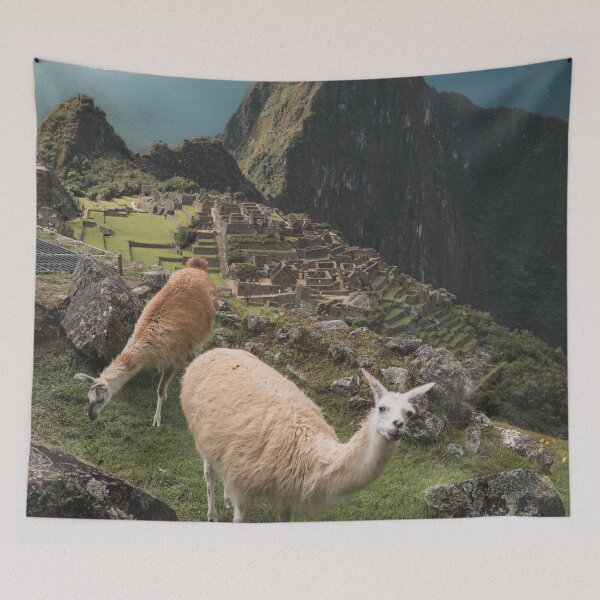 Item preview, City of Cuzco peru designed and sold by Asombrosa.