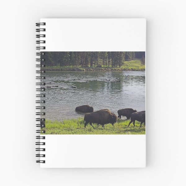 Item preview, River Crossing designed and sold by Tamas Bakos.