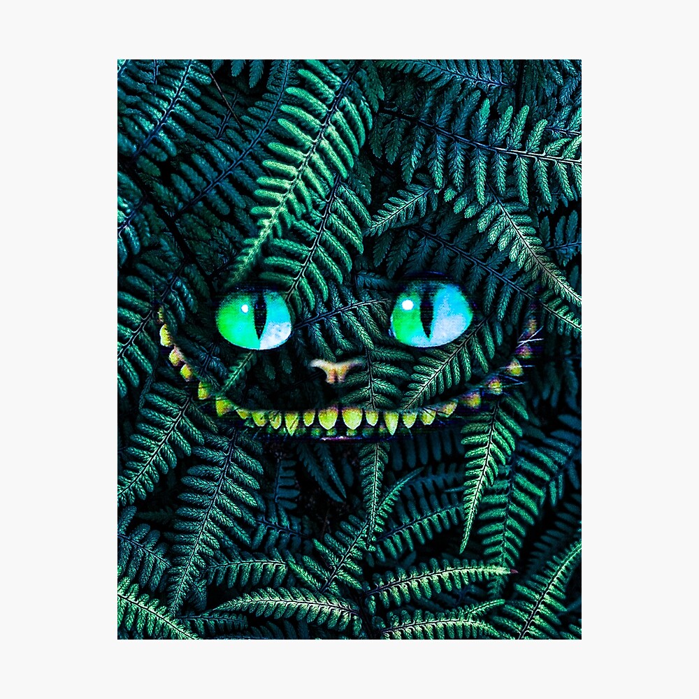 Cheshire Cat Print Cheshire Katze Poster Cheshire Cat Wandkunst Alice Im Wunderland Drucke Wand Dekor Alice Drucke Poster Von Raecreations Redbubble