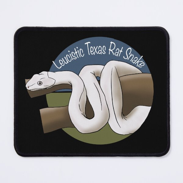 Item preview, Leucistic Texas Rat Snake designed and sold by IronGator.