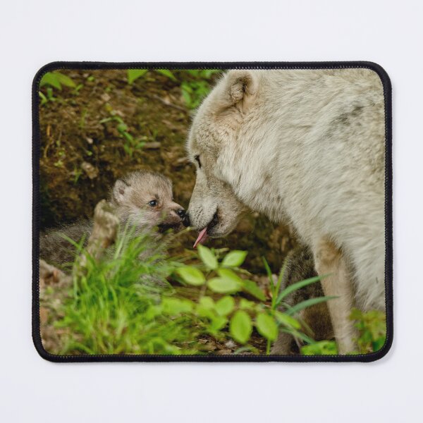 Artikelvorschau, Arctic Wolf Pup entworfen und verkauft von WolvesOnly.