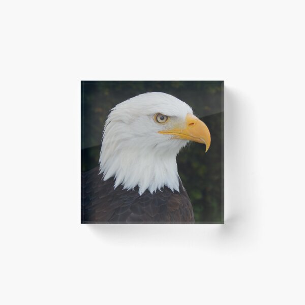 Item preview, Eagle designed and sold by lewbarberdesign.