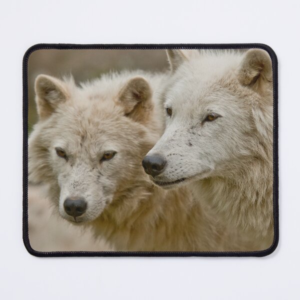 Item preview, Arctic Wolves designed and sold by WolvesOnly.