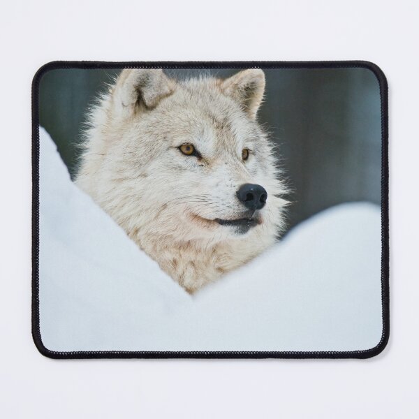 Item preview, Arctic Wolf designed and sold by WolvesOnly.