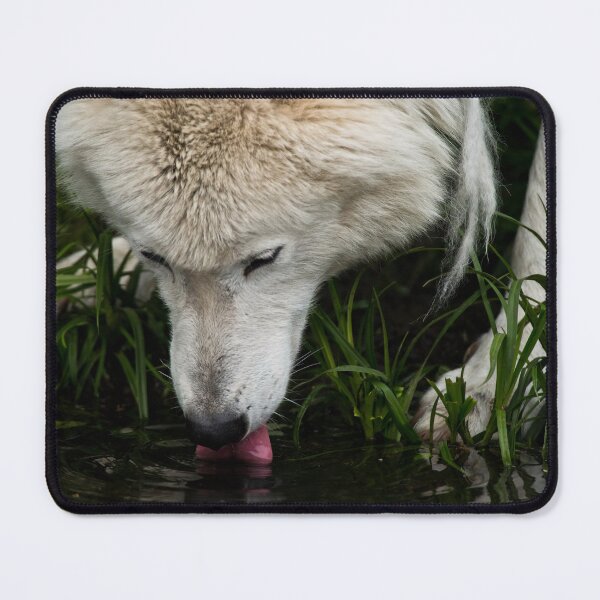 Item preview, Arctic Wolf designed and sold by WolvesOnly.