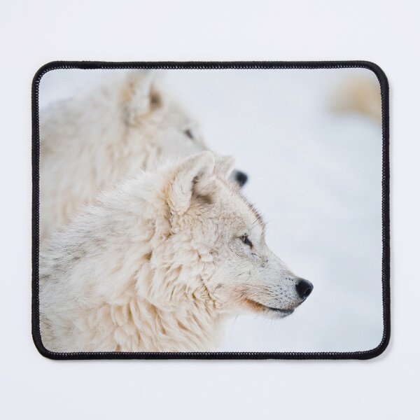 Item preview, Arctic Wolves designed and sold by WolvesOnly.