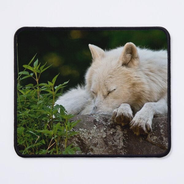 Item preview, Arctic Wolf designed and sold by WolvesOnly.