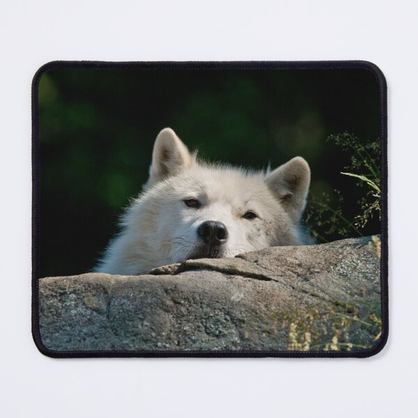 Item preview, Arctic Wolf designed and sold by WolvesOnly.