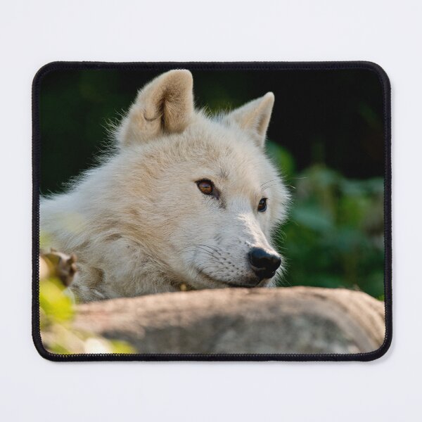 Artikelvorschau, Arctic Wolf entworfen und verkauft von WolvesOnly.