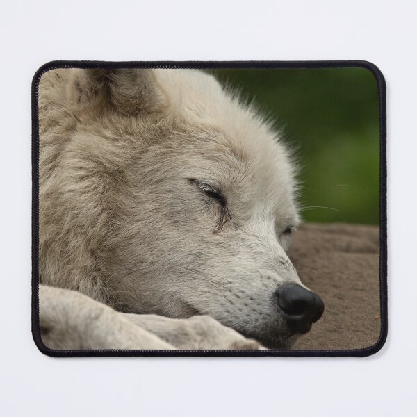 Artikelvorschau, Sleeping Arctic Wolf entworfen und verkauft von WolvesOnly.
