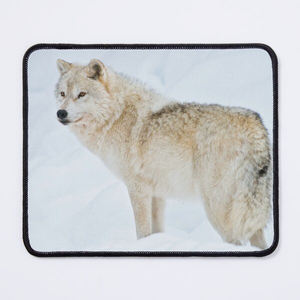 Item preview, Arctic Wolf designed and sold by WolvesOnly.
