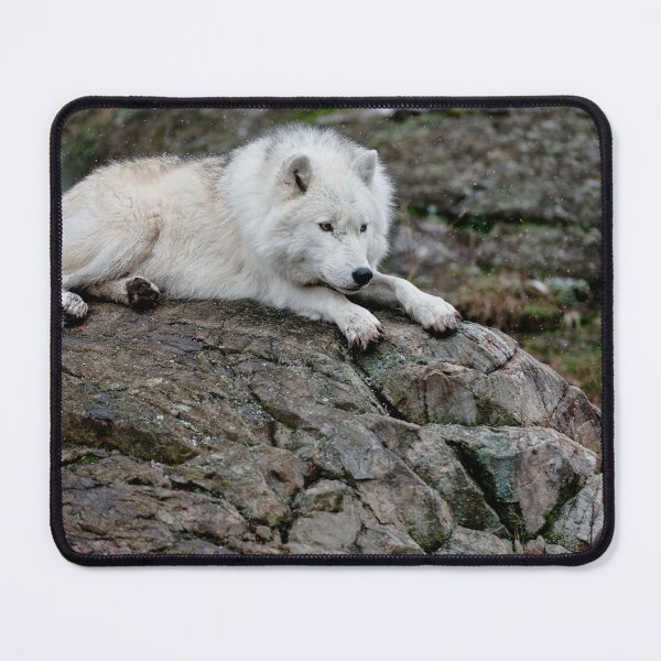 Item preview, Arctic Wolf designed and sold by WolvesOnly.