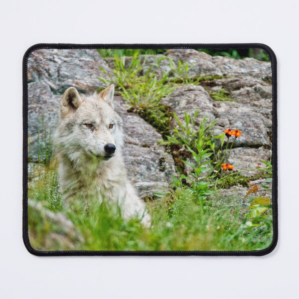 Item preview, Arctic Wolf designed and sold by WolvesOnly.