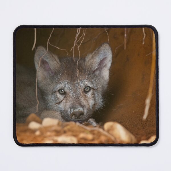 Item preview, Timber Wolf Pup designed and sold by WolvesOnly.