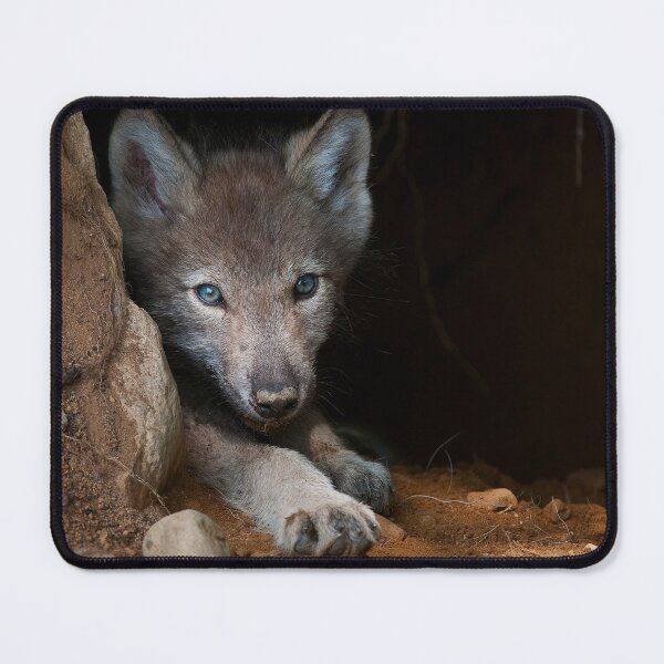 Item preview, Timber Wolf Pup designed and sold by WolvesOnly.