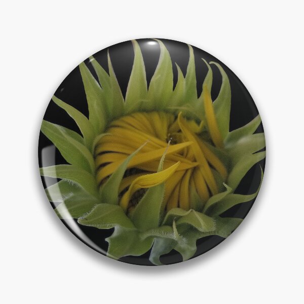 Item preview, Field Guide to Sunflowers, No. 3, Blooming Flower  designed and sold by Kristi Duggins.