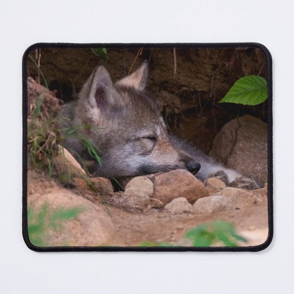 Item preview, Timber Wolf Pup designed and sold by WolvesOnly.