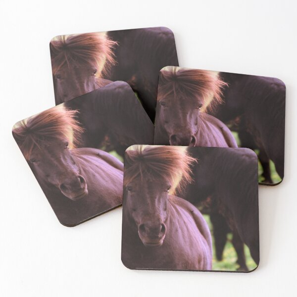 Item preview, Wild Shetland Pony Portrait designed and sold by Debjaphotography.