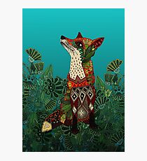floral fox Photographic Print