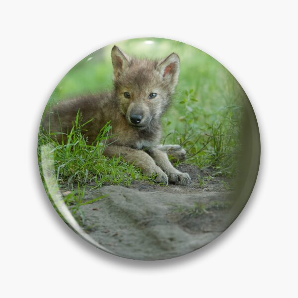Item preview, Timber Wolf Pup designed and sold by WolvesOnly.