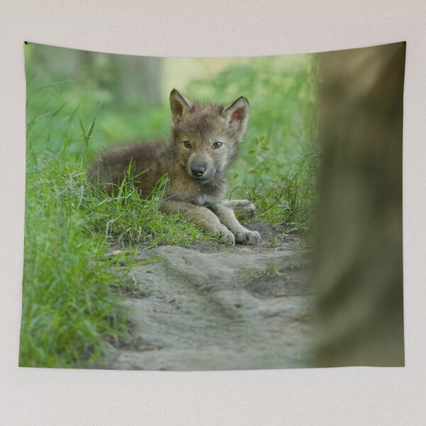 Item preview, Timber Wolf Pup designed and sold by WolvesOnly.