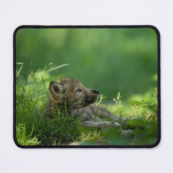 Item preview, Timber Wolf Pup designed and sold by WolvesOnly.