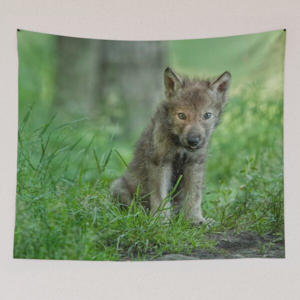 Item preview, Timber Wolf Pup designed and sold by WolvesOnly.