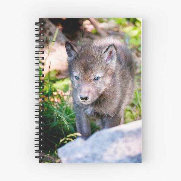 Item preview, Timber Wolf Pup designed and sold by WolvesOnly.