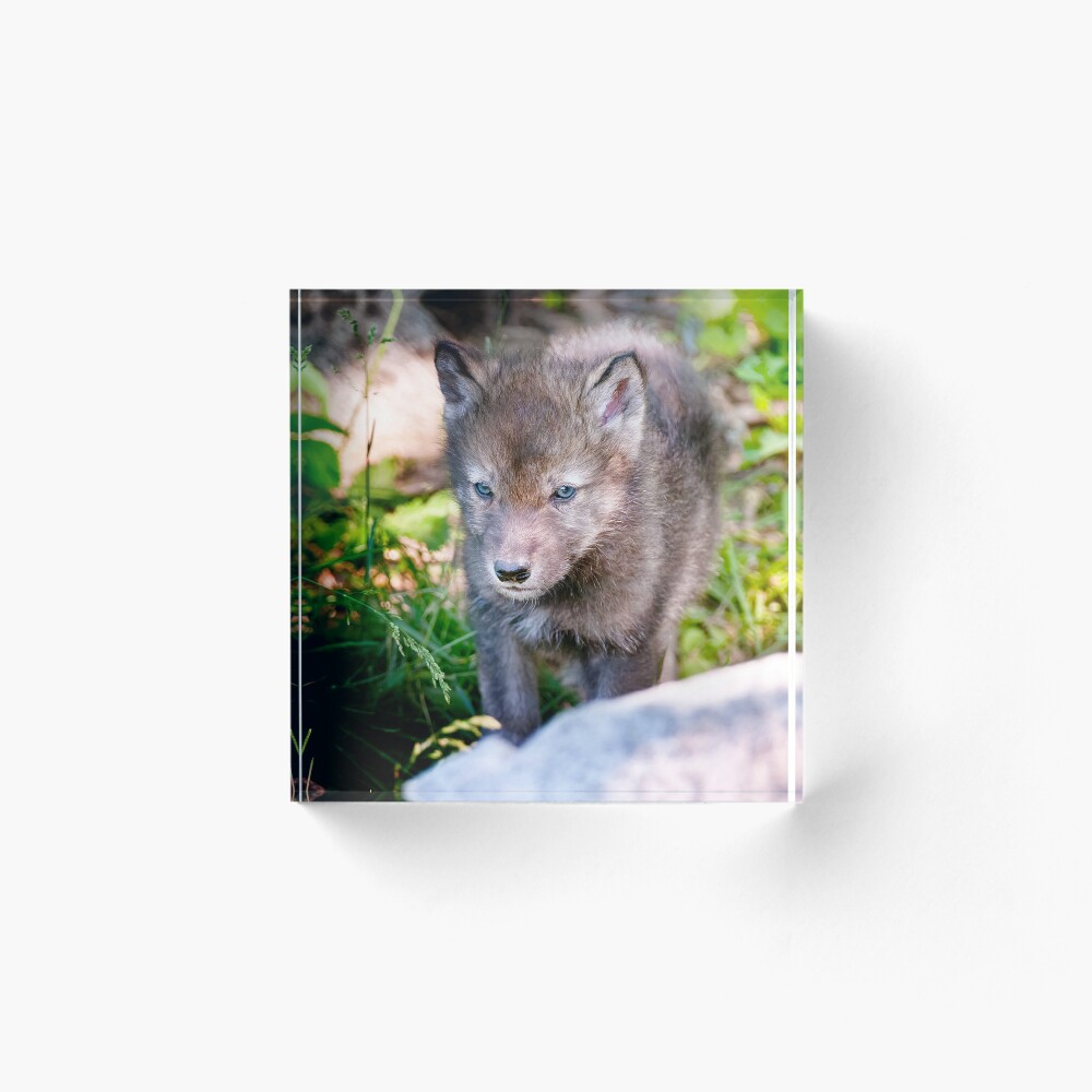 Artikel-Vorschau von Acrylblock, designt und verkauft von WolvesOnly.