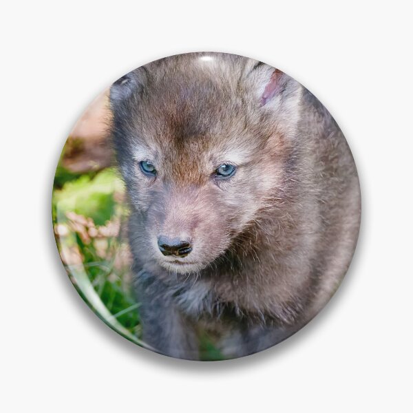 Item preview, Timber Wolf Pup designed and sold by WolvesOnly.