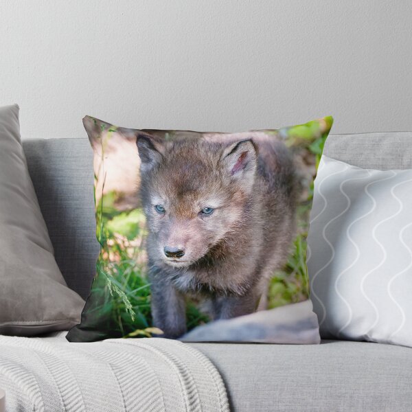Artikelvorschau, Timber Wolf Pup entworfen und verkauft von WolvesOnly.