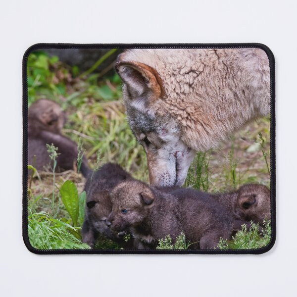 Artikelvorschau, Timber Wolf And Pups entworfen und verkauft von WolvesOnly.