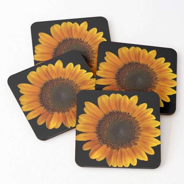 Item preview, Field Guide to Sunflowers, No. 4, Bright Yellow Flower designed and sold by Kristi Duggins.