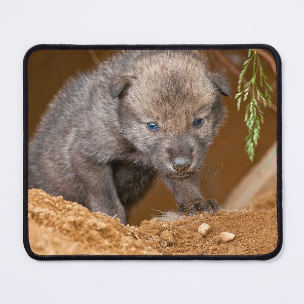Item preview, Timber Wolf Pup designed and sold by WolvesOnly.