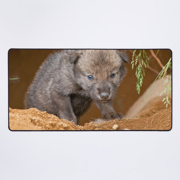 Item preview, Timber Wolf Pup designed and sold by WolvesOnly.