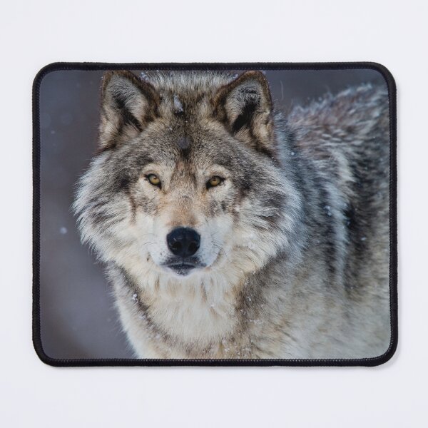 Item preview, Timber Wolf designed and sold by WolvesOnly.